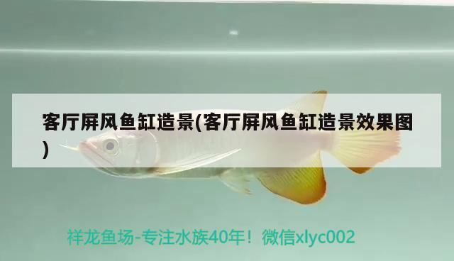 客廳屏風(fēng)魚缸造景(客廳屏風(fēng)魚缸造景效果圖)