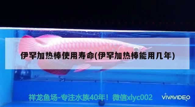 伊罕加熱棒使用壽命(伊罕加熱棒能用幾年) 伊罕加熱棒使用壽命(伊罕加熱棒能用幾年) 伊罕水族