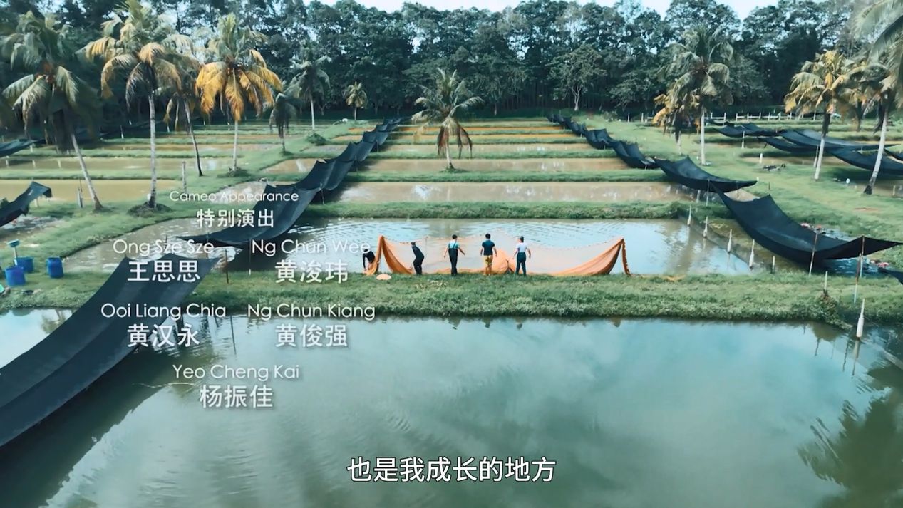 祥龍魚場:讓龍魚從瀕臨滅絕到人工繁殖的成功之路