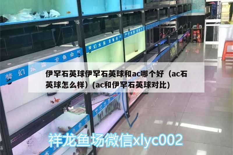 伊罕石英球伊罕石英球和ac哪個(gè)好（ac石英球怎么樣）(ac和伊罕石英球?qū)Ρ?