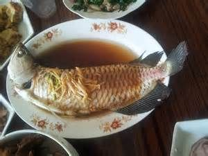 紅龍魚多少錢一天吃一頓啊 紅龍魚百科 第2張 紅龍魚多少錢一天吃一頓啊 紅龍魚多少錢一天吃一頓啊 紅龍魚百科 第2張