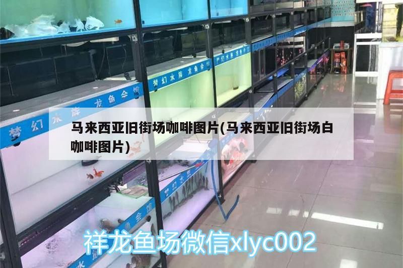 馬來西亞舊街場咖啡圖片(馬來西亞舊街場白咖啡圖片)
