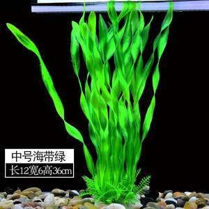 36厘米魚缸造景圖片：36厘米迷你草缸造景過程分享