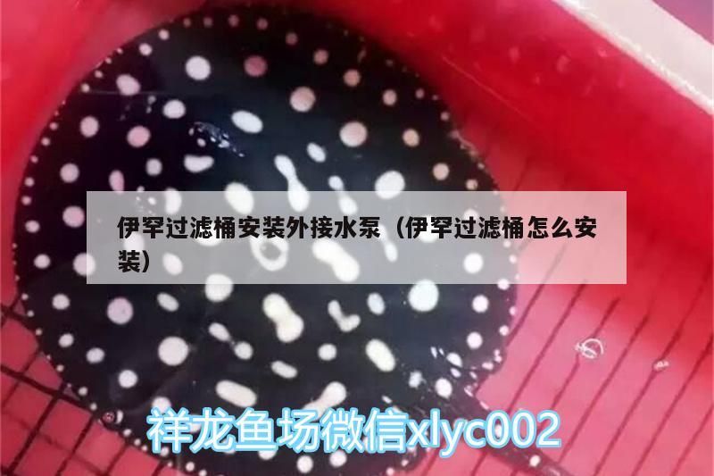 伊罕過濾桶安裝外接水泵（伊罕過濾桶怎么安裝）