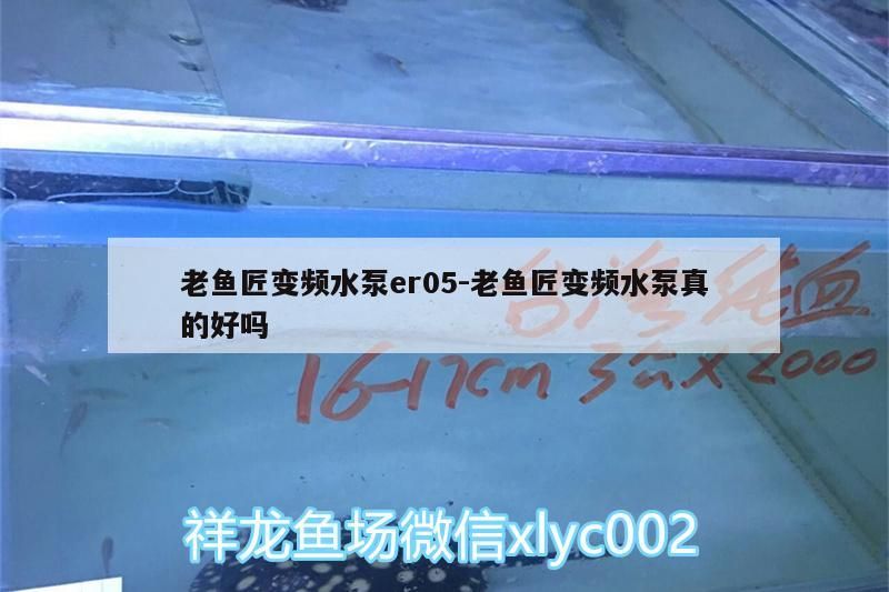 老魚(yú)匠變頻水泵er05:老魚(yú)匠變頻水泵真的好嗎 老魚(yú)匠變頻水泵er05:老魚(yú)匠變頻水泵真的好嗎 老魚(yú)匠