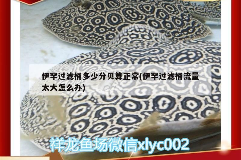 詳細(xì)閱讀:伊罕過(guò)濾桶多少分貝算正常(伊罕過(guò)濾桶流量太大怎么辦) 伊罕過(guò)濾桶多少分貝算正常(伊罕過(guò)濾桶流量太大怎么辦)