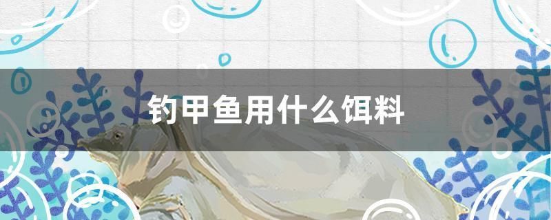 釣甲魚用什么餌料