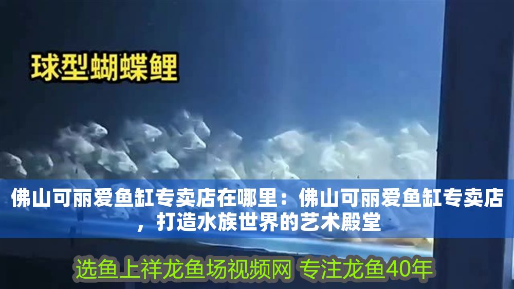 佛山可麗愛魚缸專賣店在哪里：佛山可麗愛魚缸專賣店，打造水族世界的藝術殿堂 佛山可麗愛魚缸專賣店在哪里：佛山可麗愛魚缸專賣店，打造水族世界的藝術殿堂 iwish愛唯希品牌魚缸 第1張
