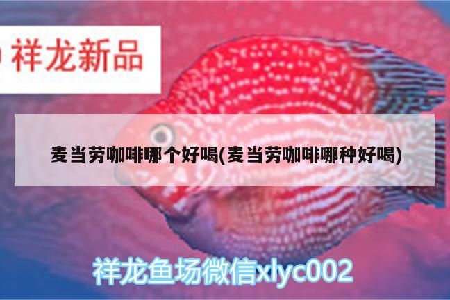 麥當勞咖啡哪個好喝(麥當勞咖啡哪種好喝)