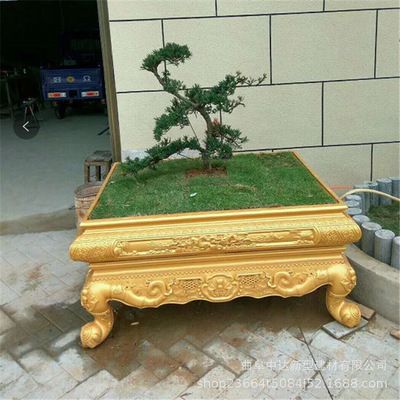 黃金貓魚怎么養殖的(黃金招財貓魚怎么養)