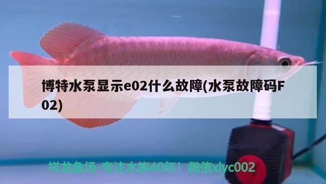 博特水泵顯示e02什么故障(水泵故障碼F02)