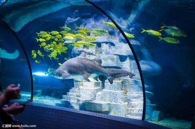 aquarium魚缸 說明書：aquariumfish缸說明書aquariumfish缸選購指南 aquarium魚缸 說明書：aquariumfish缸說明書aquariumfish缸選購指南 魚缸百科 第3張