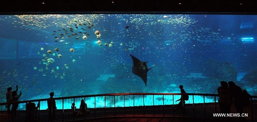 aquarium魚缸 說明書：aquariumfish缸說明書aquariumfish缸選購指南 aquarium魚缸 說明書：aquariumfish缸說明書aquariumfish缸選購指南 魚缸百科 第4張