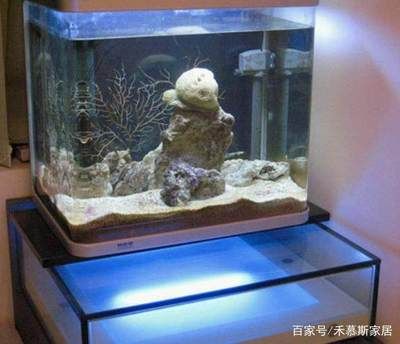 創(chuàng)寧水泵生產(chǎn)廠家（創(chuàng)寧水泵生產(chǎn)廠家地址）