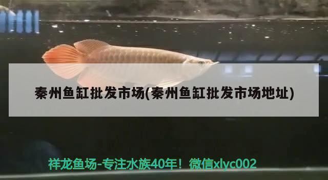 秦州魚缸批發市場(秦州魚缸批發市場地址)