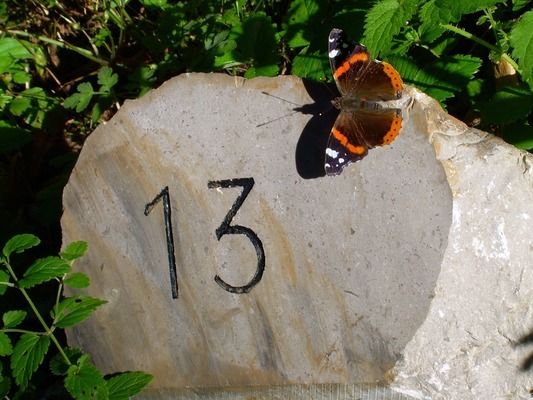 創寧水泵哪款好（創寧水泵哪款好用一點）