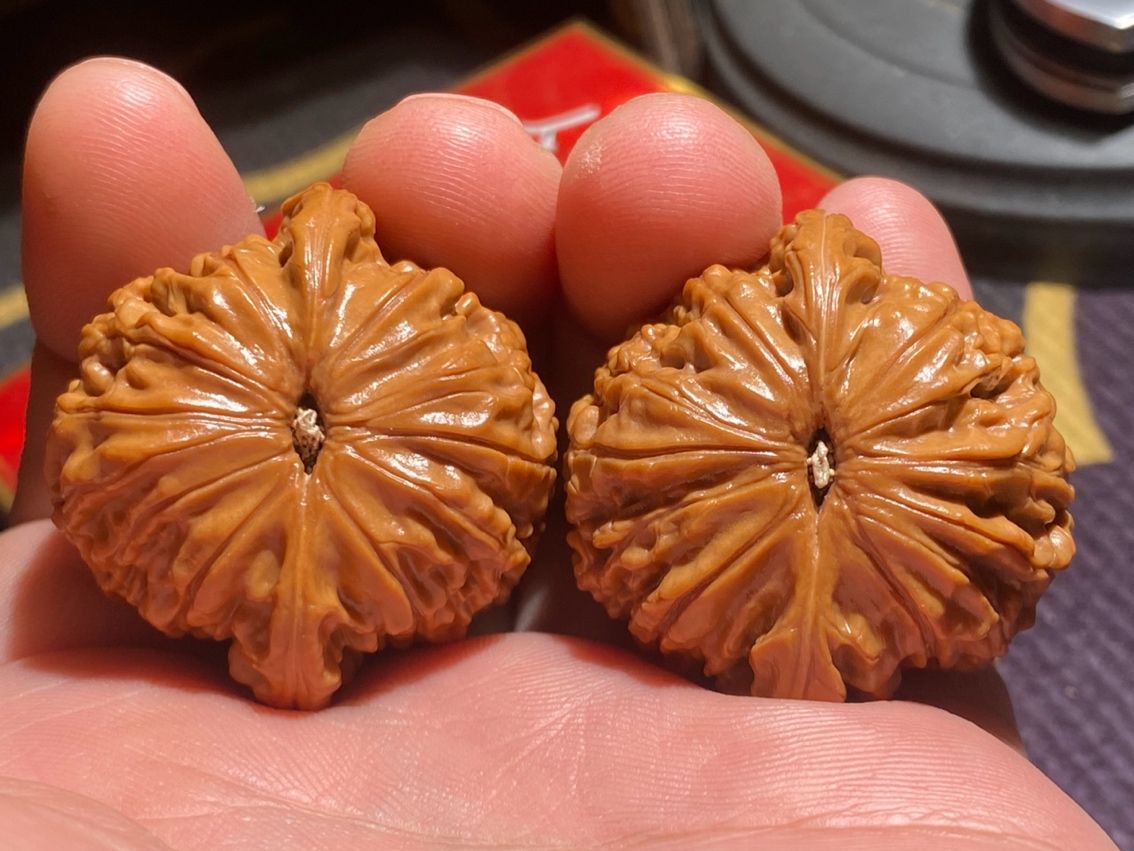 磨盤獅子頭一對，底子已經打好