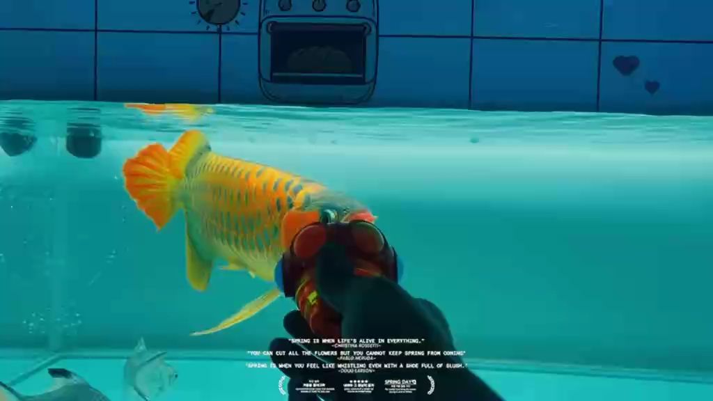 魚缸過濾器選購指南:自制魚缸過濾器魚缸上置過濾器對于養魚愛好者的必備知識 這板型就是帥 龍魚論壇 這板型就是帥 這板型就是帥 龍魚論壇