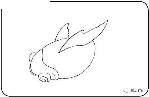 金龍魚白描技法的學習資源