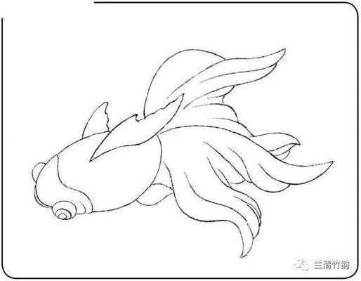 金龍魚白描技法的學習資源
