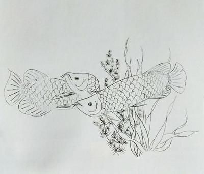 金龍魚白描技法的學(xué)習(xí)資源