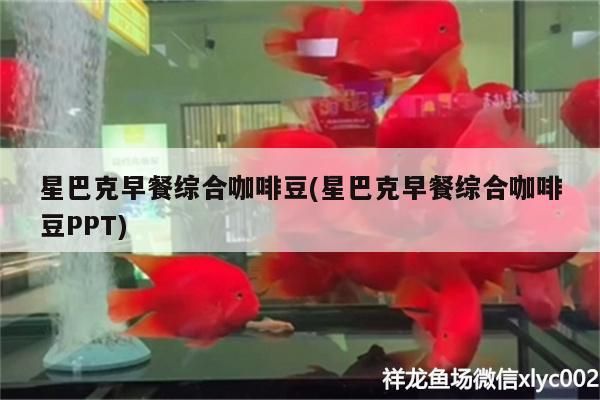 星巴克早餐綜合咖啡豆(星巴克早餐綜合咖啡豆PPT) 星巴克早餐綜合咖啡豆(星巴克早餐綜合咖啡豆PPT) 馬來西亞咖啡