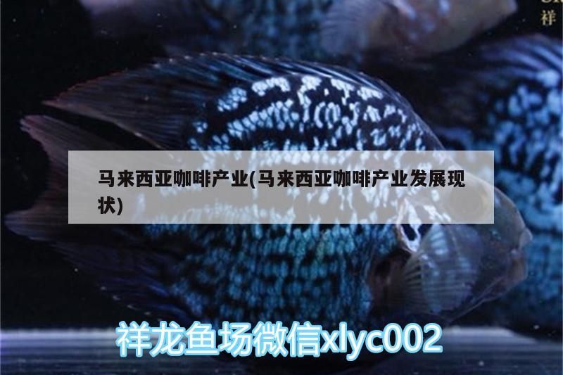 馬來西亞咖啡產業(馬來西亞咖啡產業發展現狀) 馬來西亞咖啡產業(馬來西亞咖啡產業發展現狀) 馬來西亞咖啡