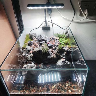 1號水族魚缸使用說明書視頻：1號水族魚缸使用指南 1號水族魚缸使用說明書視頻：1號水族魚缸使用指南 魚缸百科 第2張