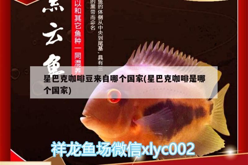 星巴克咖啡豆來自哪個國家(星巴克咖啡是哪個國家)
