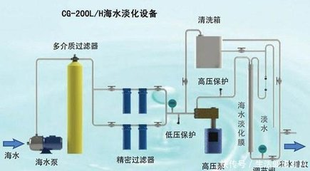 哪種熱帶魚好養耐活又好養？推薦適合新手的10種熱帶魚，新手必看！10種好養耐活的熱帶魚推薦