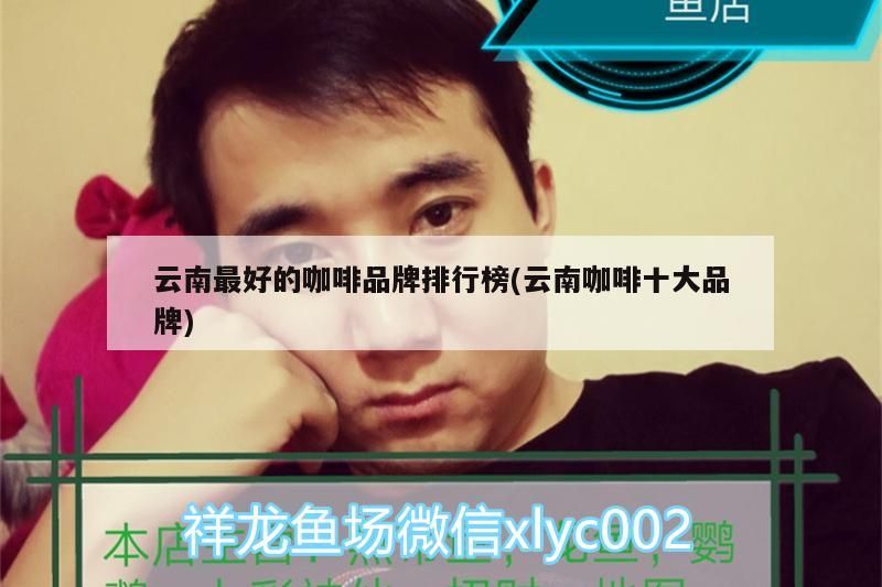 云南最好的咖啡品牌排行榜(云南咖啡十大品牌) 云南最好的咖啡品牌排行榜(云南咖啡十大品牌) 馬來西亞咖啡