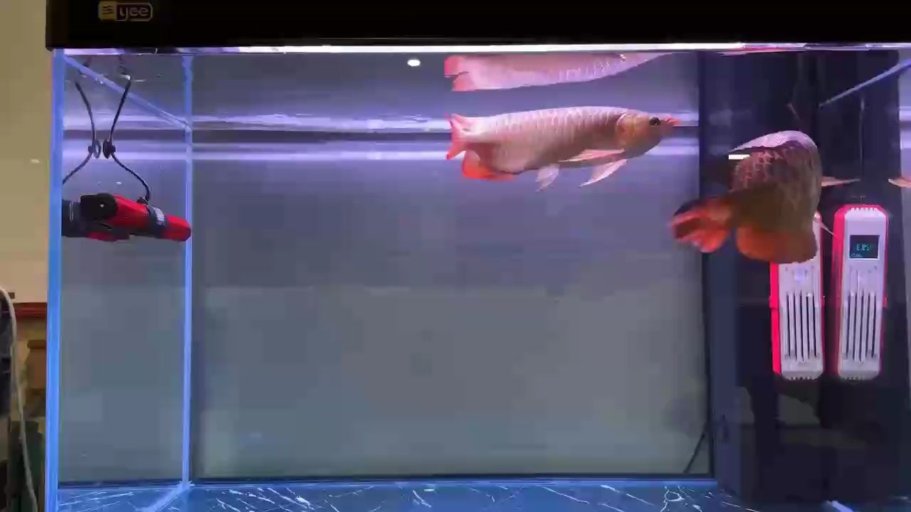 終于空氣缸