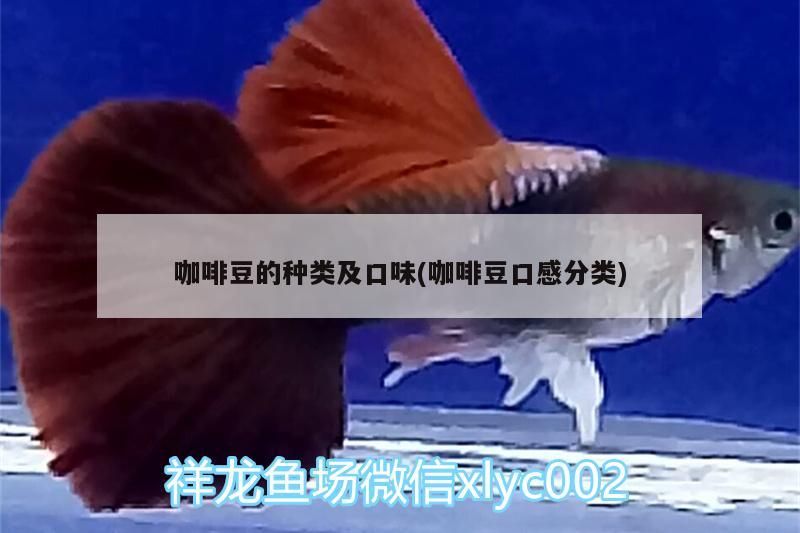 龍魚干蝦有營養(yǎng)嗎 咖啡豆的種類及口味(咖啡豆口感分類) 馬來西亞咖啡 咖啡豆的種類及口味(咖啡豆口感分類) 咖啡豆的種類及口味(咖啡豆口感分類) 馬來西亞咖啡