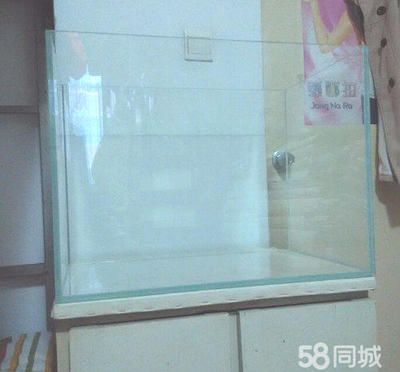 8毫米玻璃做魚缸極限尺寸：8毫米厚的玻璃可以制作較大尺寸的魚缸