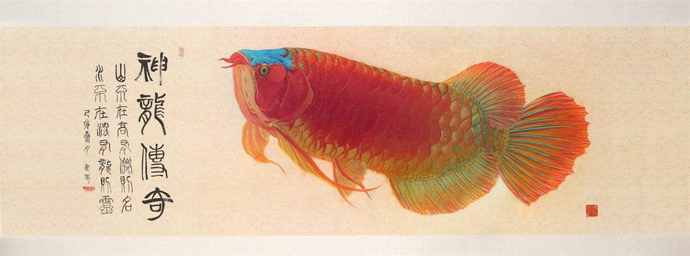紅龍魚怎么畫？：紅龍魚畫法詳細步驟和技巧 紅龍魚怎么畫？：紅龍魚畫法詳細步驟和技巧 紅龍魚百科 第1張