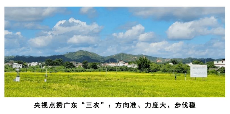 夢游天姥吟留別的典故出處與李白的精神世界探析，李白夢游天姥吟留別的典故溯源與精神境界解讀 夢游天姥吟留別的典故出處與李白的精神世界探析，李白夢游天姥吟留別的典故溯源與精神境界解讀 龍魚百科 第3張