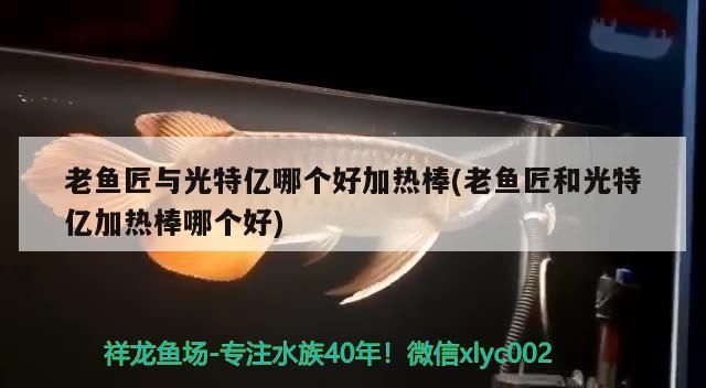 老魚匠與光特億哪個好加熱棒(老魚匠和光特億加熱棒哪個好)