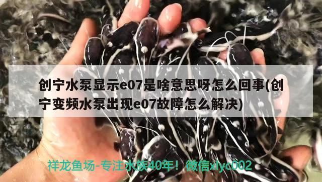 創寧水泵顯示e07是啥意思呀怎么回事(創寧變頻水泵出現e07故障怎么解決)