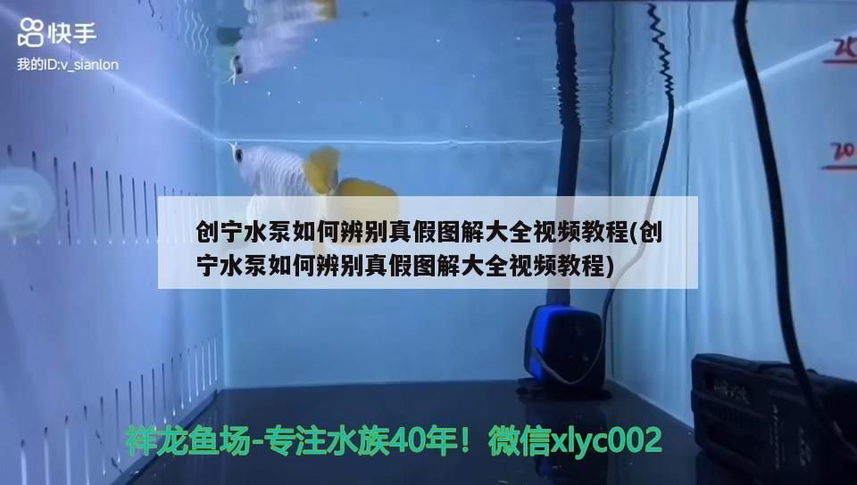 創(chuàng)寧水泵如何辨別真假圖解大全視頻教程(創(chuàng)寧水泵如何辨別真假圖解大全視頻教程) 創(chuàng)寧水族 第1張 創(chuàng)寧水泵如何辨別真假圖解大全視頻教程(創(chuàng)寧水泵如何辨別真假圖解大全視頻教程) 創(chuàng)寧水泵如何辨別真假圖解大全視頻教程(創(chuàng)寧水泵如何辨別真假圖解大全視頻教程) 創(chuàng)寧水族 第1張