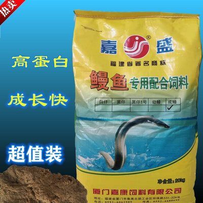 深海幻夢，大型美人魚魚缸中的神秘世界，深海幻夢，探秘巨型美人魚缸中的奇幻國度