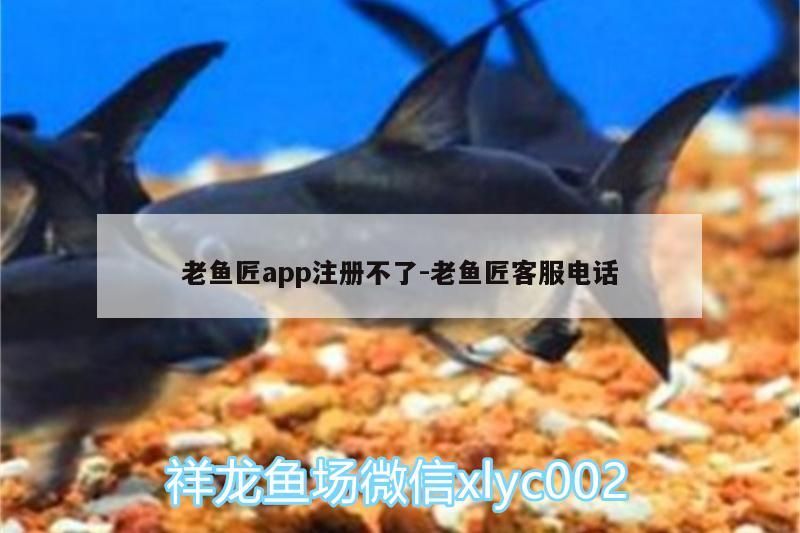老魚匠app注冊不了:老魚匠客服電話