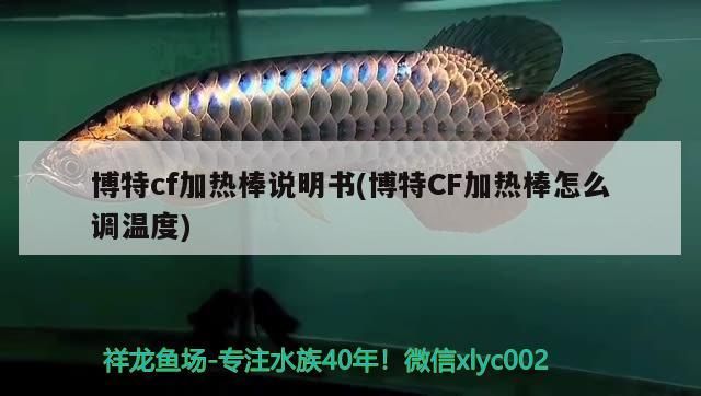 博特cf加熱棒說(shuō)明書(shū)(博特CF加熱棒怎么調(diào)溫度)