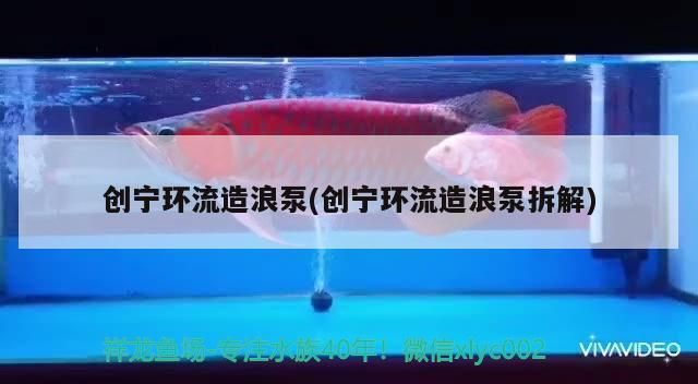 創寧環流造浪泵(創寧環流造浪泵拆解)