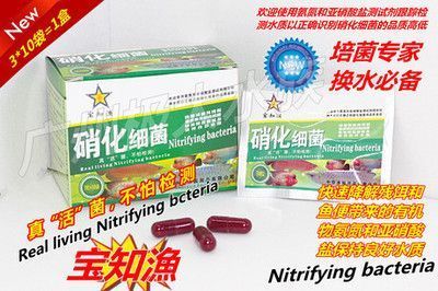 森森硝化細(xì)菌膠囊怎么用 森森硝化細(xì)菌膠囊怎么用 森森魚缸