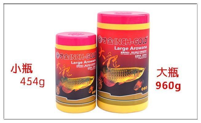 龍魚好不好養喂什么吃vs祥龍魚場：關于龍魚的飼養和喂養的一些建議 龍魚好不好養喂什么吃vs祥龍魚場：關于龍魚的飼養和喂養的一些建議 vs祥龍魚場 第4張