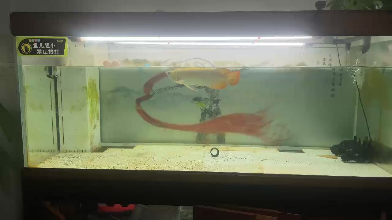 好久沒有換水了