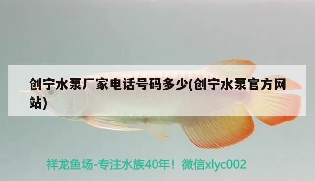 創(chuàng)寧水泵廠家電話號碼多少(創(chuàng)寧水泵官方網站)