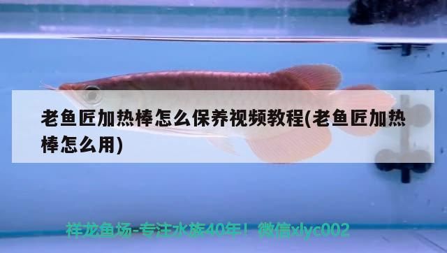 老魚匠加熱棒怎么保養(yǎng)視頻教程(老魚匠加熱棒怎么用) 老魚匠加熱棒怎么保養(yǎng)視頻教程(老魚匠加熱棒怎么用) 老魚匠
