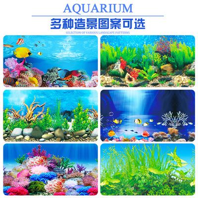 曼龍魚水溫多少度合適?全面解析曼龍魚的適宜水溫及飼養要點,曼龍魚最佳水溫指南,適宜溫度與飼養要點解析 龍魚百科 第3張 曼龍魚水溫多少度合適?全面解析曼龍魚的適宜水溫及飼養要點,曼龍魚最佳水溫指南,適宜溫度與飼養要點解析 曼龍魚水溫多少度合適?全面解析曼龍魚的適宜水溫及飼養要點,曼龍魚最佳水溫指南,適宜溫度與飼養要點解析 龍魚百科 第3張