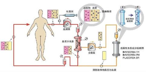 曼龍母嬰屬于什么檔次的品牌？深度解析其市場定位與產品優勢，曼龍母嬰品牌檔次解析，市場定位與產品優勢全揭秘